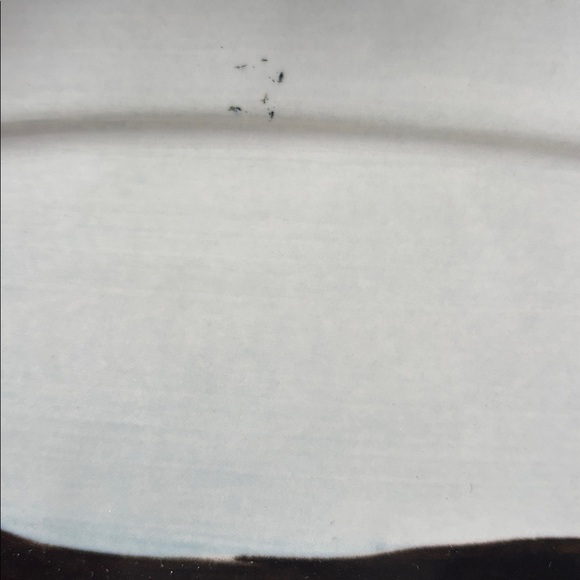 Sally Muir Anthropologie Dachshund Platter - Picture 4 of 14